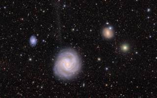 Rubin M61
